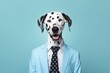 © VERTEX SPACE - animal pet dog concept Anthromophic friendly Dalmatian boss dog wearing suite formal business suit pretending to work in coporate workplace studio shot on plain color wall