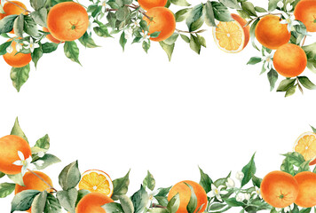 Orange fruit border frame. Watercolor illustration isolated on transparent background. Blossom orange branch for labels, prints, banners, citrus wedding invitation, poster