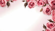 beautiful pink roses as asymmetric frame on white background, copy space, negative space, romantic wedding background 