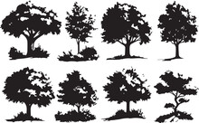 Set Trees. Hand Drawn Vector Illustration