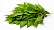 an isolated pile of curry leaves on a clean white canvas, capturing the herb's vibrant green color and aromatic qualities.
