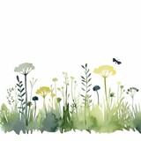 Fototapeta  - Aquarell einer Frühlingswiese Illustration