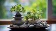 Arranging feng shui in a creative manner