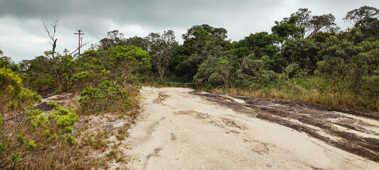 Wall Mural - forest flower vegetation tree nature green life mountain valley hill cloud summer land path road woods wild camp hiking climbing trail park reserve Minas Gerais Brazil