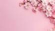 Pink flowers blossoms on pastel background. Spring themes and floral designs