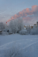 Winter landscape, snow-covered trees, residential houses. In the background is a chimney with puffs of smoke. Day during the polar night. City in the Far North of Russia.