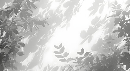 a background showing silhouettes of plants