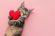 © Milan - Cute tabby kitten hugging red heart pillow. Cat lying on a back on pink background in top view. Love concept for Valentine's Day. Cat showing belly. For greeting card, banner, postcard, ad, poster