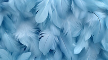 Beautiful Abstract Color Blue Feathers On White Background And Blue Feather Texture On Blue Pattern And Blue Background