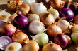 Whole onions with their papery skins intact, showcasing their pungent aroma and varied colors