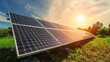 © MNFTs - Solar panels or Solar cells energy