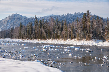 Fototapete - Stones with snow caps in the water of Altai Biya river under heavy snow in winter season with forest on background