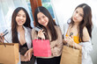 © themorningglory - Happy beautiful woman friend hold shopping bag with credit card
