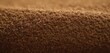 .In the image, there is a close-up of a sandy area or surface with a coarse texture. The graininess and appearance of.