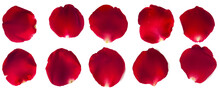 Set Of 10 Red Rose Petals On A White Background Or Transparent