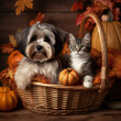 Dog and cat in basket 