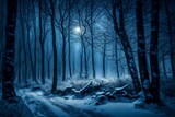 Fototapeta Las - night forest in the night