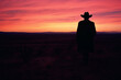 Stylized depiction of a lone cowboy's silhouette on the horizon at dusk.
