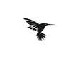 hummingbird logo vector illustration. colibri silhouette vector icon