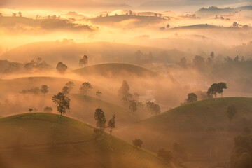 Sticker - Sunrise on Long Coc tea hill, Phu Tho province, Vietnam.