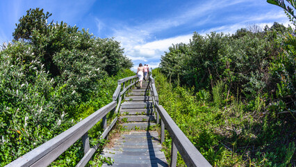 Wall Mural - People Girls Walking Boardwalk Walkway Steps Vegetation Beach Tropical Coastline Going Home Behind Photograph