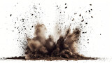 Fototapeta Na ścianę - Dirt explosion with debris flying
