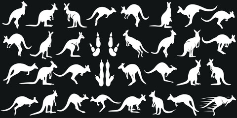 Wall Mural - kangaroo silhouettes, various dynamic poses of kangaroos, white on black background. ideal for wildl