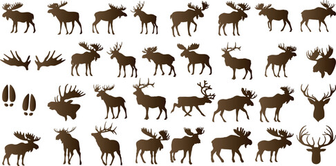 Wall Mural - majestic moose silhouettes, moose vector illustrations, wildlife, nature. various poses, standing, w
