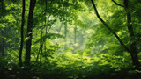 Fototapeta Krajobraz - Immerse yourself in the lush green forest, where leaves dance in the summer breeze, creating a mesmerizing texture of various shades of green.
