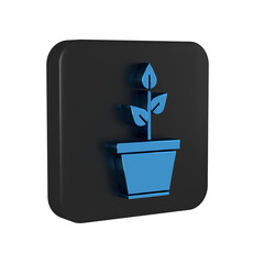 Wall Mural - Blue Plant in pot icon isolated on transparent background. Plant growing in a pot. Potted plant sign. Black square button.