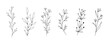 Set of botanical line art floral leaves, plants. Hand drawn sketch branches isolated on white background. Vector illustration	