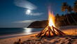 Bonfire at the beach in a moonlight night.