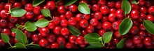 Red Cranberry Background