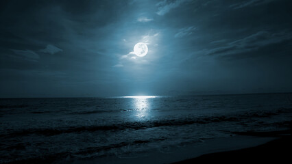 Wall Mural - Full moon over the sea. Beach night landscape