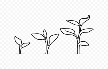 Line drawing of small tree growing vector design. Line art illustration young sprout on transparent background