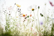 Illustration of realistic wildflowers in a meadow. Different types of flowering plants