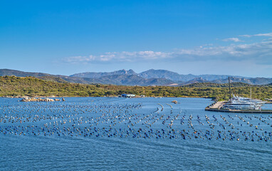 Wall Mural - Olbia, natural scenery of the gulf