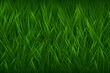 Illustrated background of green grass. Horizontal creative theme poster