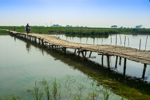 Bamboo Bridge Over The River, Bangladesh.