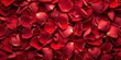Background of delicate red rose petals
