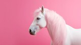 Fototapeta Konie - White horse with beautiful hairs and pink background