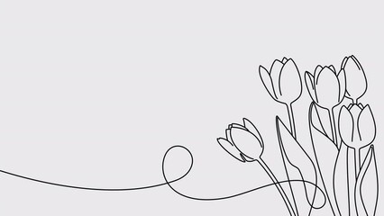 Wall Mural - Continuous one line drawing of beautiful spring flowers graphic animation. Alpha channel. Single line art bouquet of pink tulips on transparent background motion design. 4K resolution