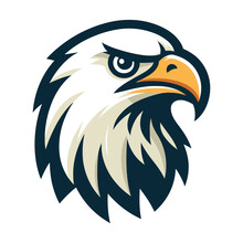 Bird Eagle Hawk Head Logo Mascot Design Vector Illustration Isolated On White Background