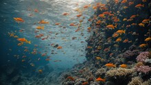 A Sight To Behold As A Big School Of Vibrant Fish Swims Smoothly Through The Frigid Ocean's Depths, Encircled By Stony Sea Beds And Towering Cliffs.