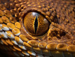 Closeup of the intense eyes of a venomous rattlesnake, captivating with its striking gaze.