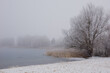 Misty Winter Lake