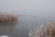 Misty Winter Lake
