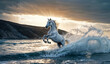 white horse rearing in the splashes of sea waves at sunset