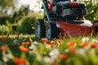 A red lawn mower sitting in the grass. Can be used for gardening and landscaping themes