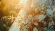 A bride holding a bouquet of flowers, illuminated by the sun. Perfect for wedding-related projects or romantic themes